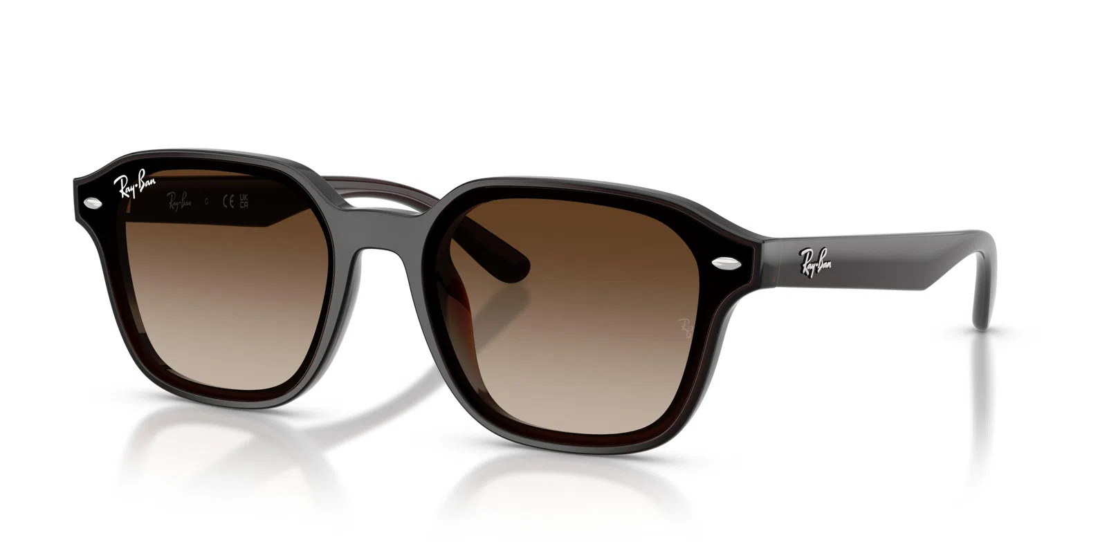 Ray-Ban 4458D Sunglasses - view 18